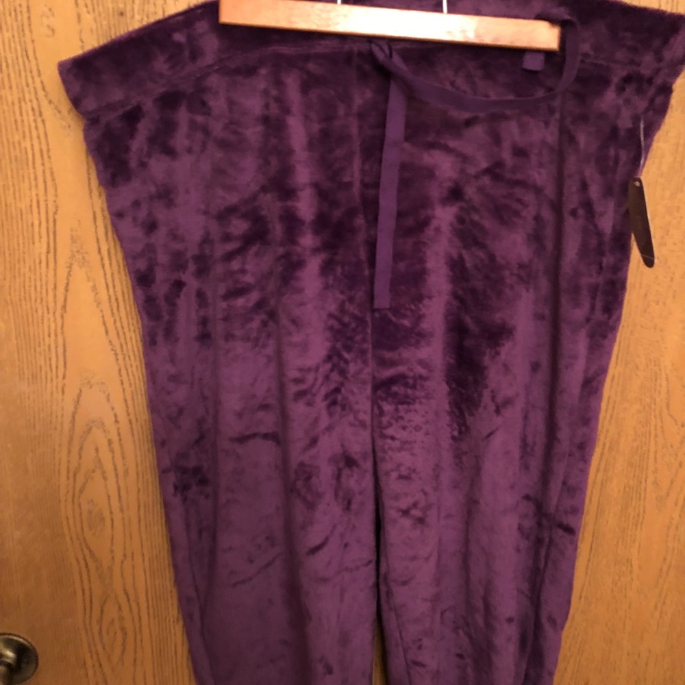Purple Pants